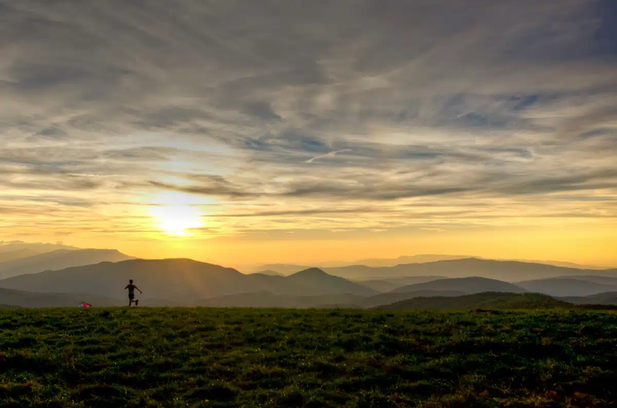 Stepping Stone to Recovery - Hero Image